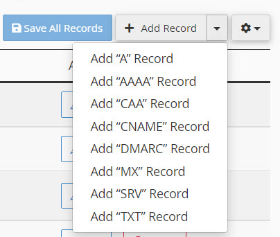 Click drop-down and select record type to add